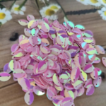 Eye Sequence Aari Alignment Tool